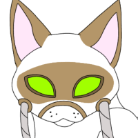 COM-113: Raccoonears