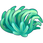 Wiggly Anemone