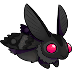 Cryptic Leporidoptera