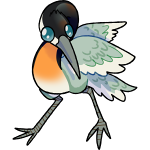 Migratory Springfisher