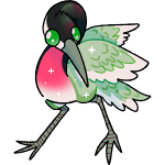 Migratory Springfisher